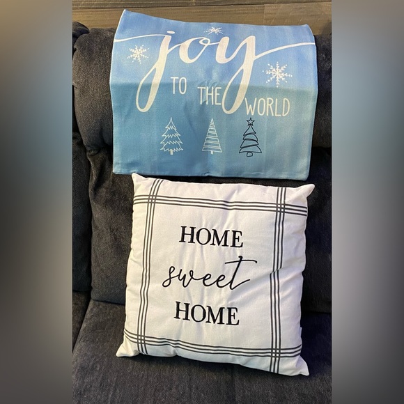 16x16 inch pillow and seasonal pillow cover - Picture 2 of 3